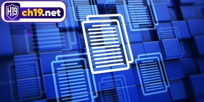 Giấy phép hoạt động H19 có vai trò cực kỳ quan trọng